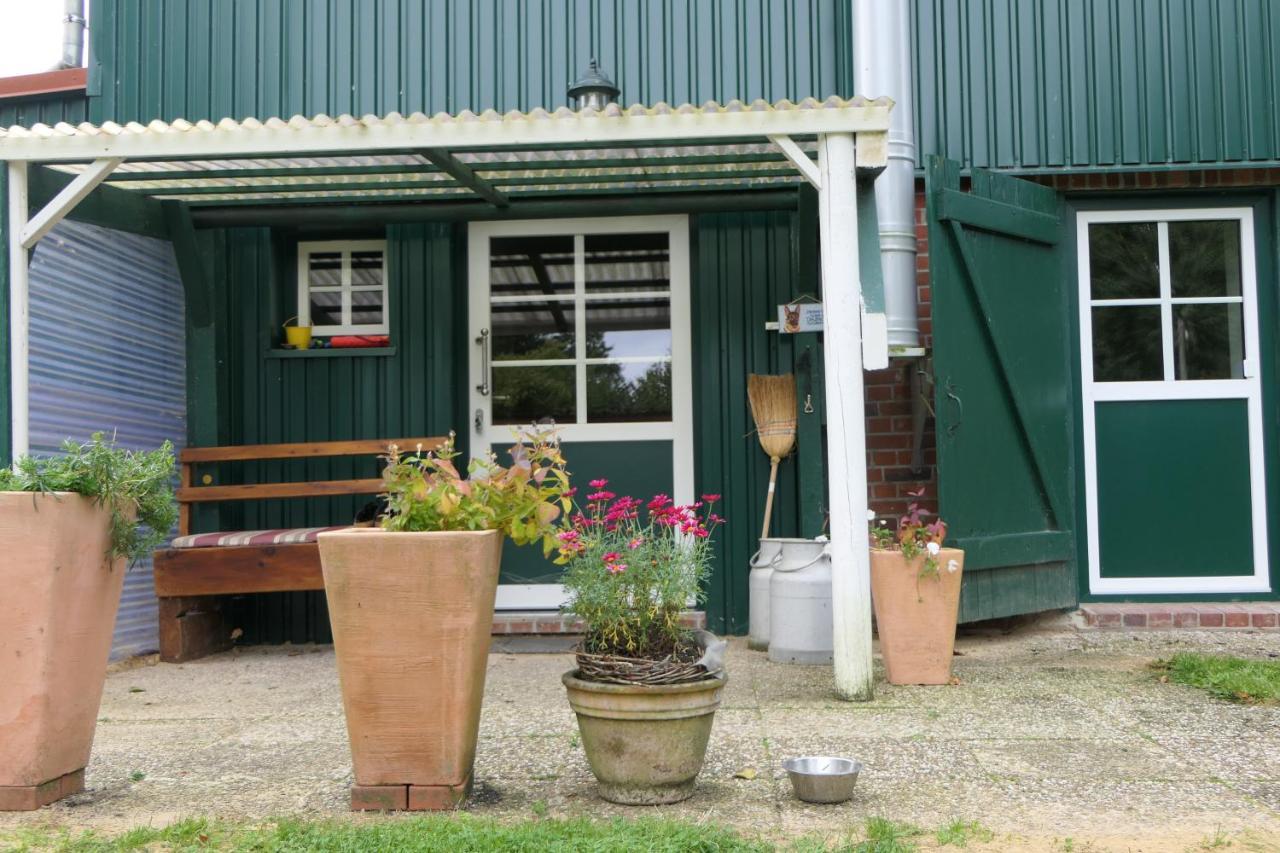 Ferienwohnung Weideglueck Osten Extérieur photo